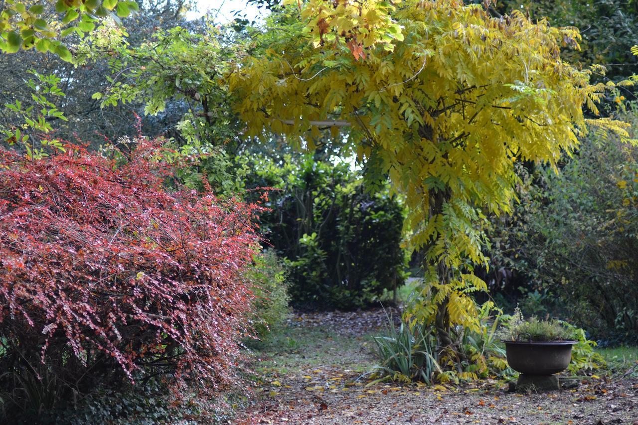 Domaine De Benveau Brécy Exteriör bild