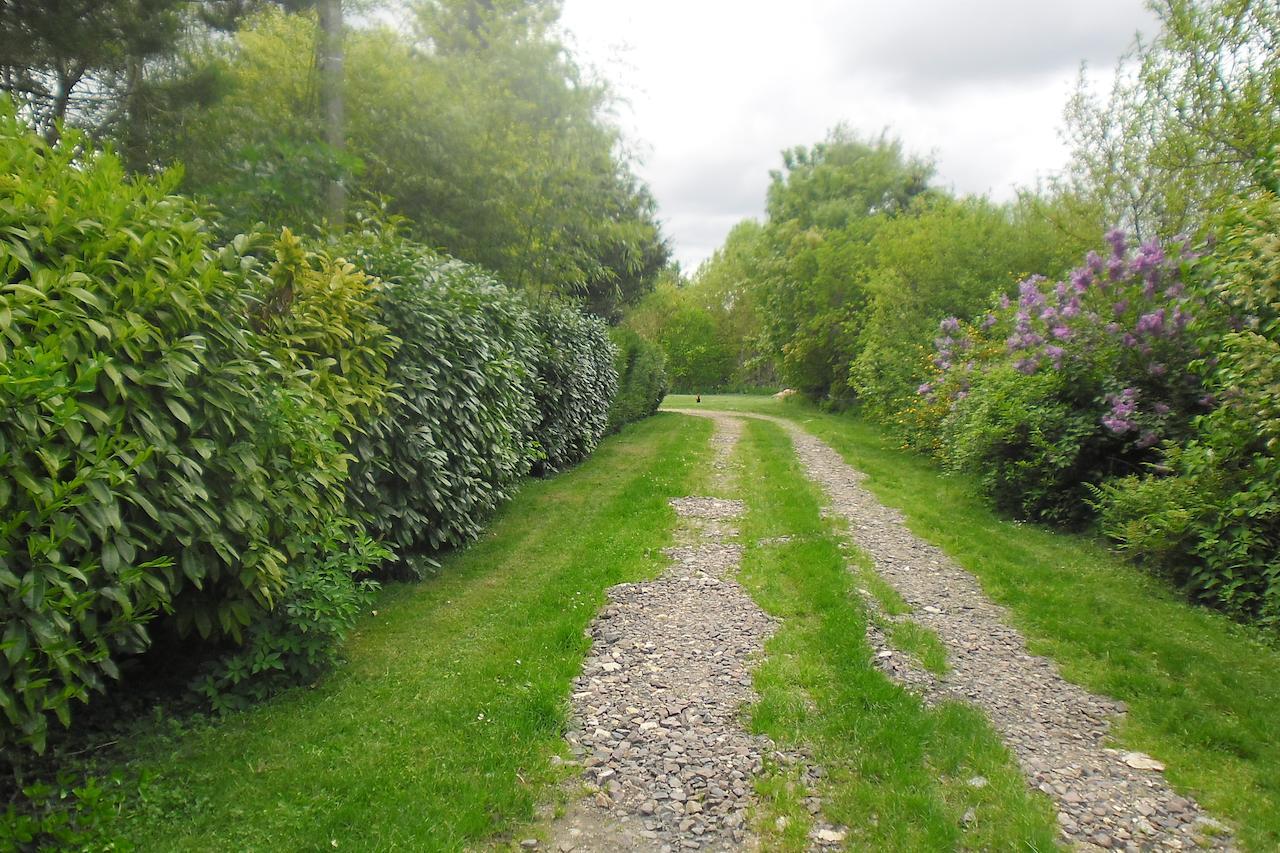 Domaine De Benveau Brécy Exteriör bild